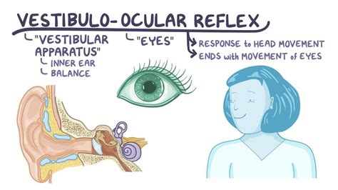 vestibulo ocular reflex|vestibulo ocular reflex symptoms.